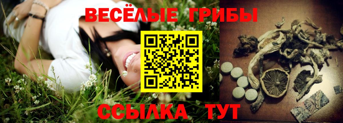 Псилоцибиновые грибы Psilocybe  Галлюциногенные грибы Magic Shrooms  Вход с VPN  Сатка 
